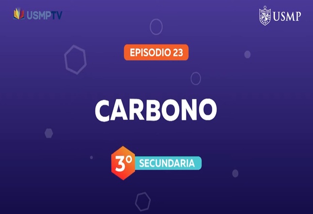 Capítulo N° 23 - Carbono